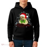 Merry Christmas Santa Pug Kids Hoodie thumb 4