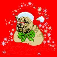 Merry Christmas Santa Pug Santa Hat thumb 1