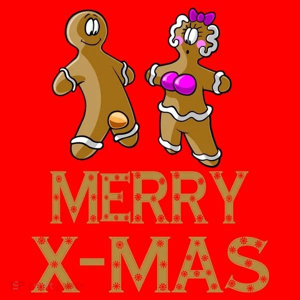 Merry X-Mas Funny Gingerbread Couple Hoodie