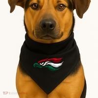 Mexican Eagle With Mexico Flag Hecho En Mexico USA-Made Doggie Bandana thumb 1