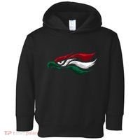 Mexican Eagle With Mexico Flag Hecho En Mexico Toddler Hoodie thumb 0