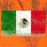 Mexico Flag Grunge Kati Licensed 12" Camo Cuffed Beanie thumb 2