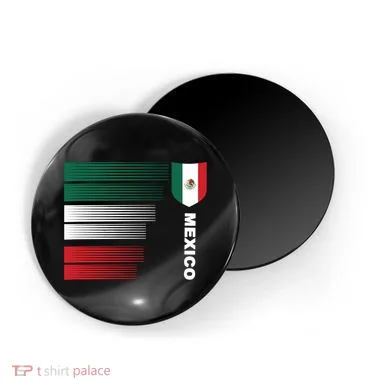 Magnet