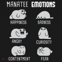 Manatee Emotions Zookeeper Marine Biologist Animal Lover Women's Hoodie thumb 2