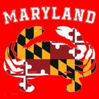 Maryland Flag Blue Crab T State Pride Retro Santa Hat thumb 1