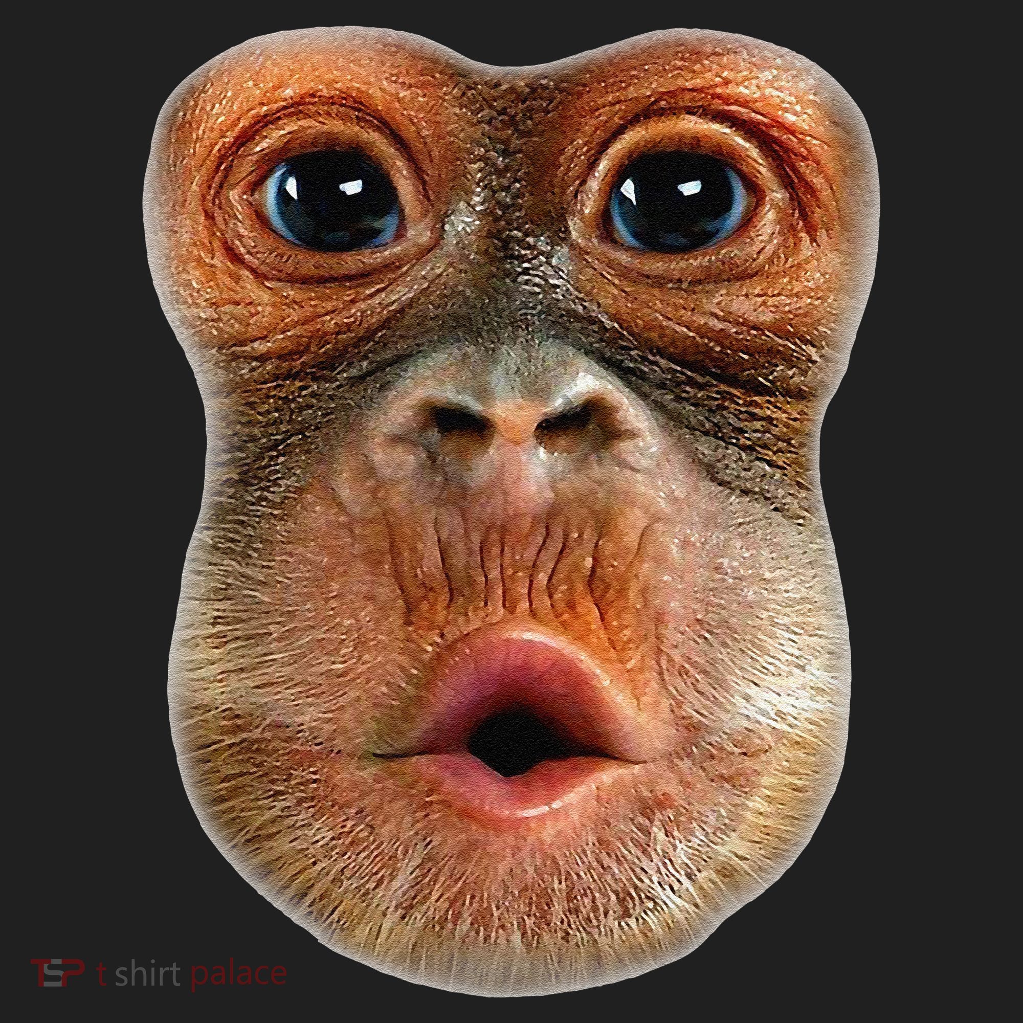 Monkey Face Breath Funny Women's Sweatshirt