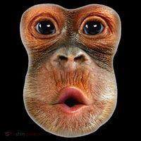 Monkey Face Breath Funny Sweatshirt thumb 3
