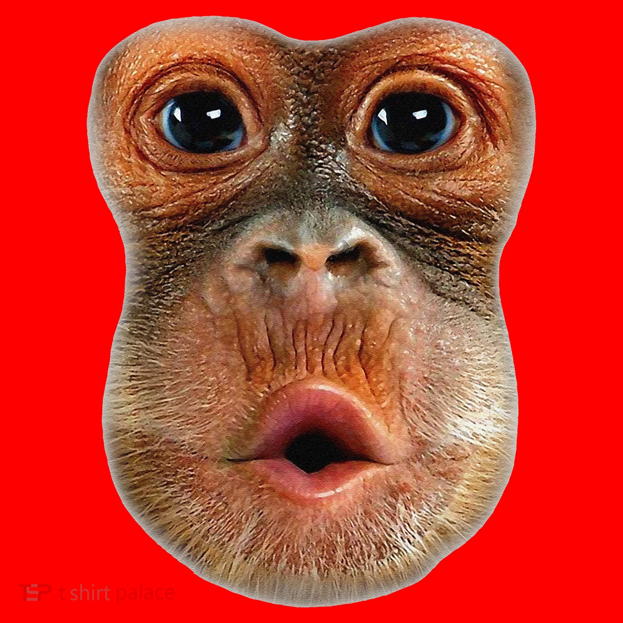 Monkey Face Breath Funny Santa Hat