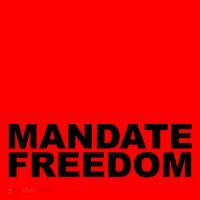 Mandate Freedom Candian Santa Hat thumb 1