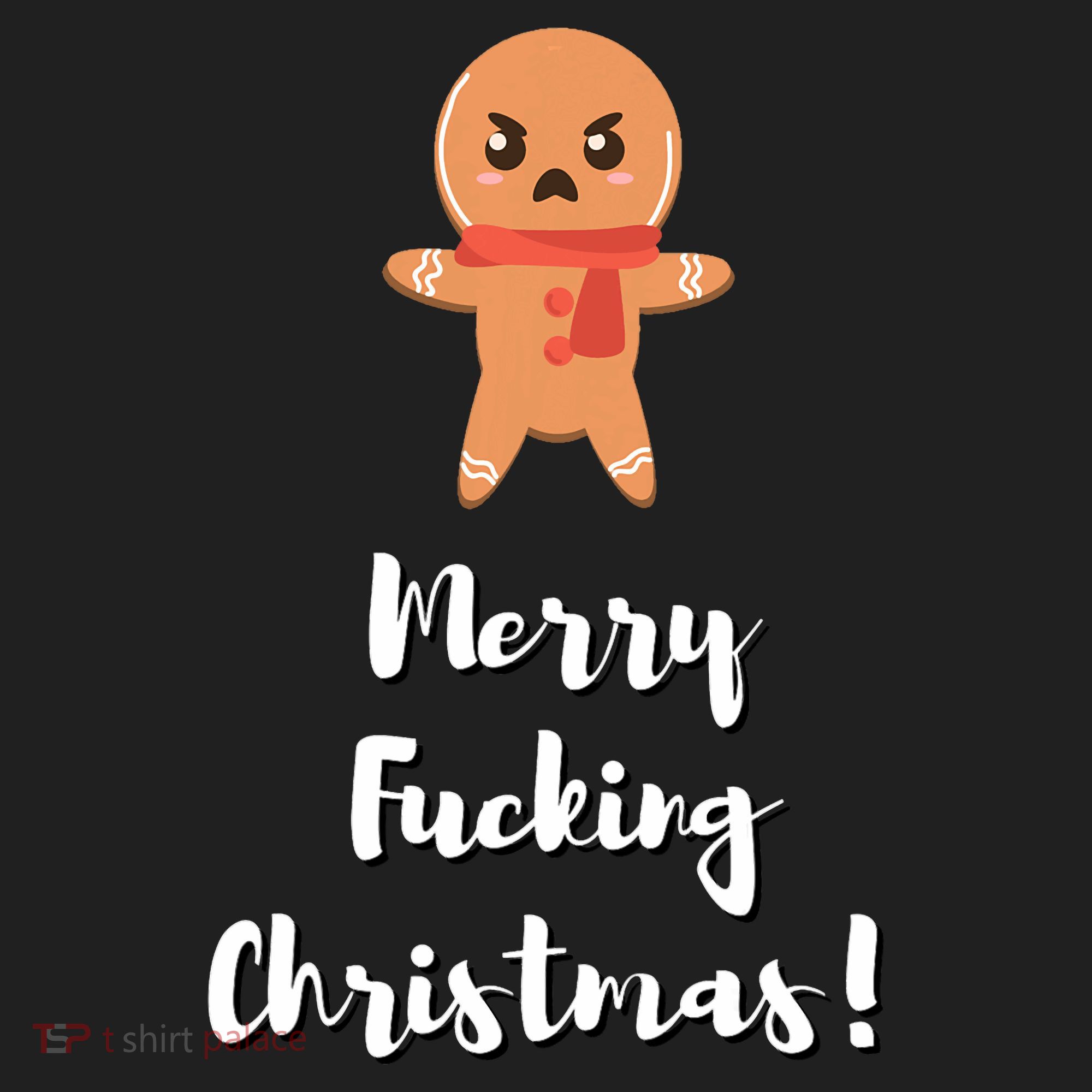 Merry Fucking Christmas Funny Christmas Xmas Beanie