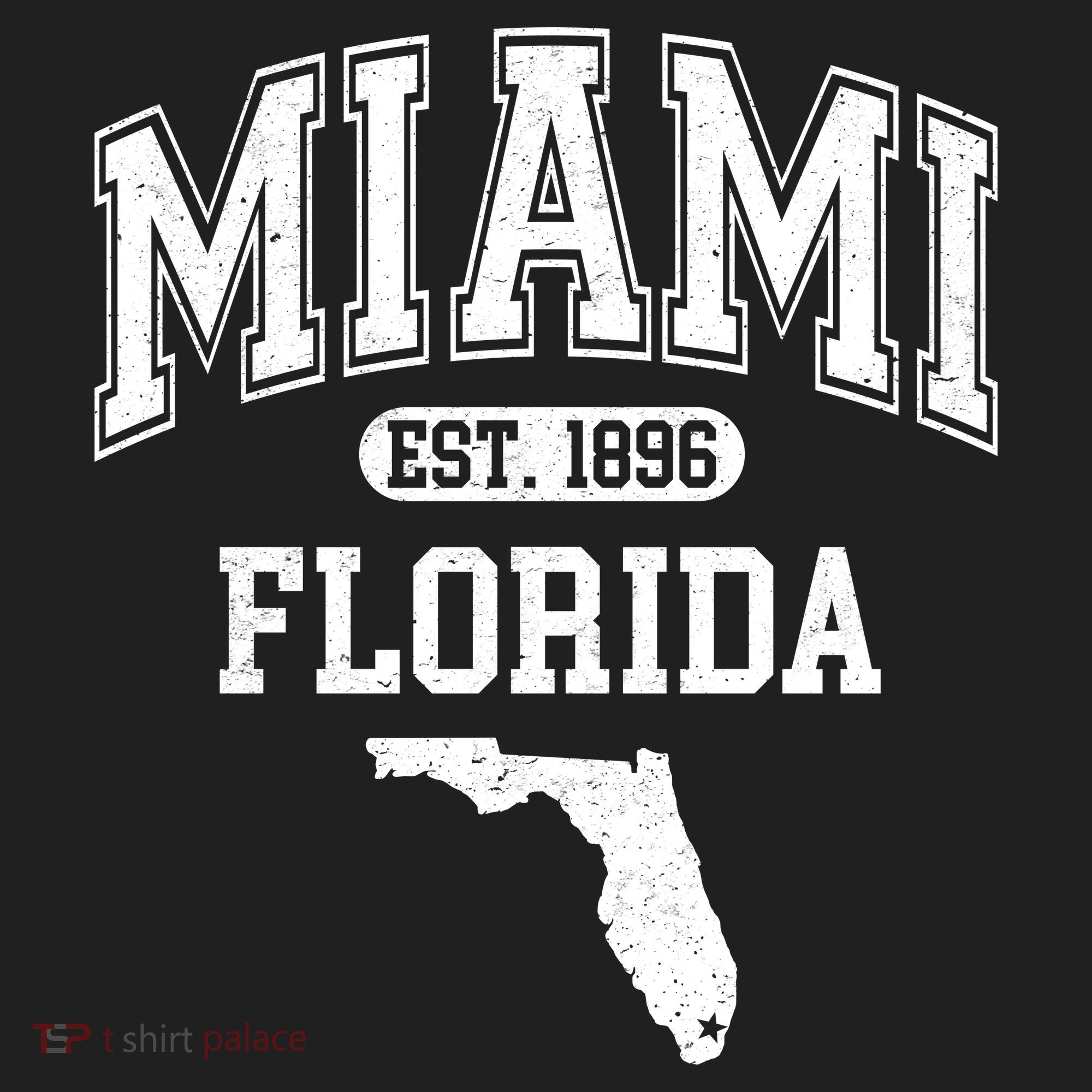 Miami Florida Est 1896 Varsity Tumbler