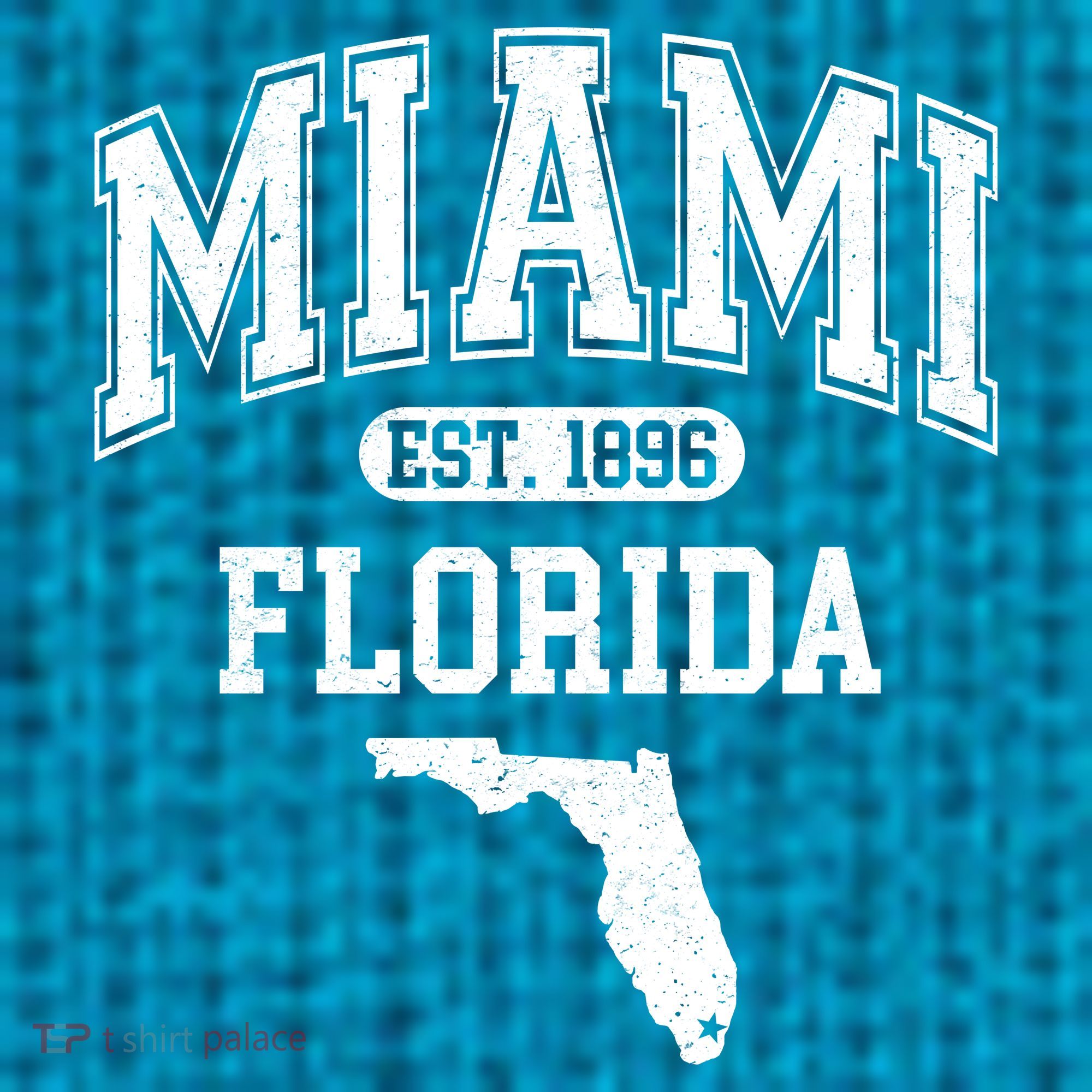 Miami Florida Est 1896 Varsity Kids Hoodie
