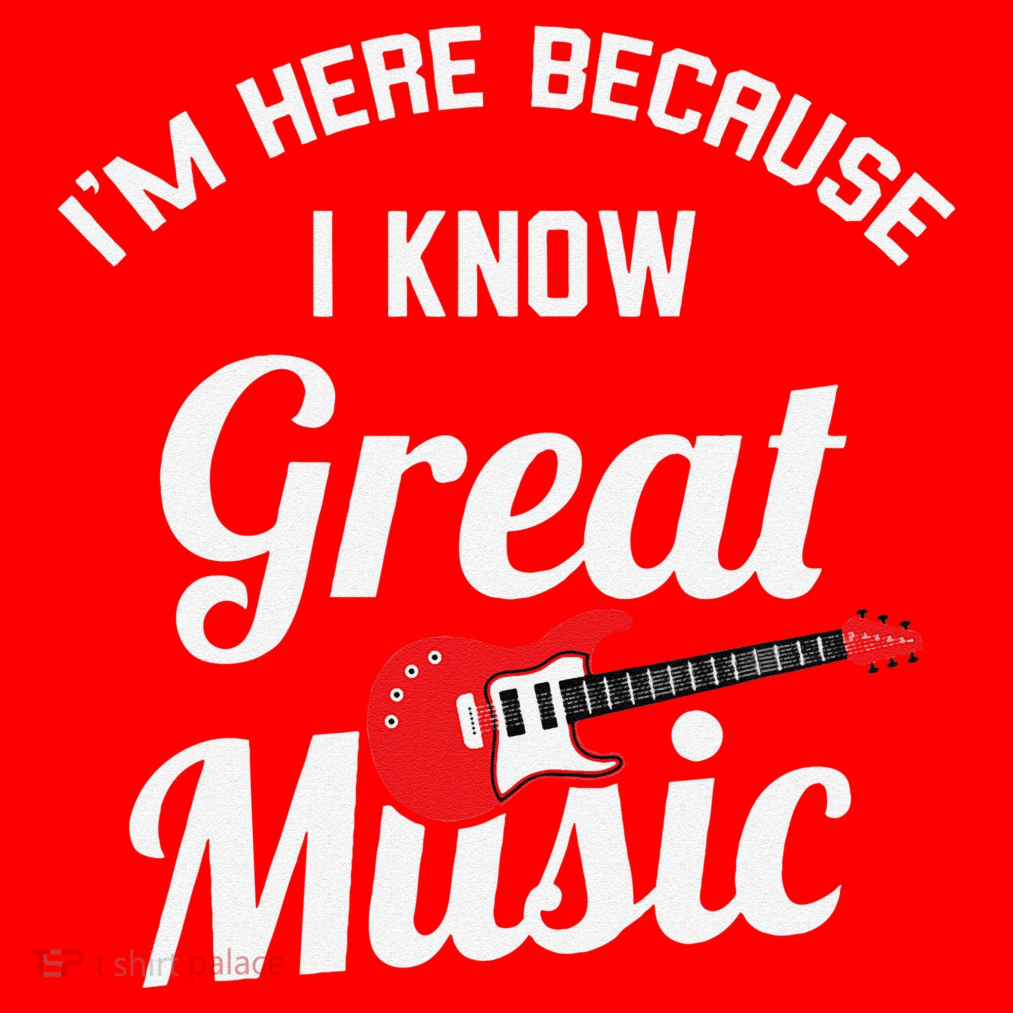 Music Festival Funny Concert Goer Expert Santa Hat