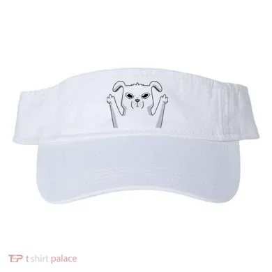 Visor