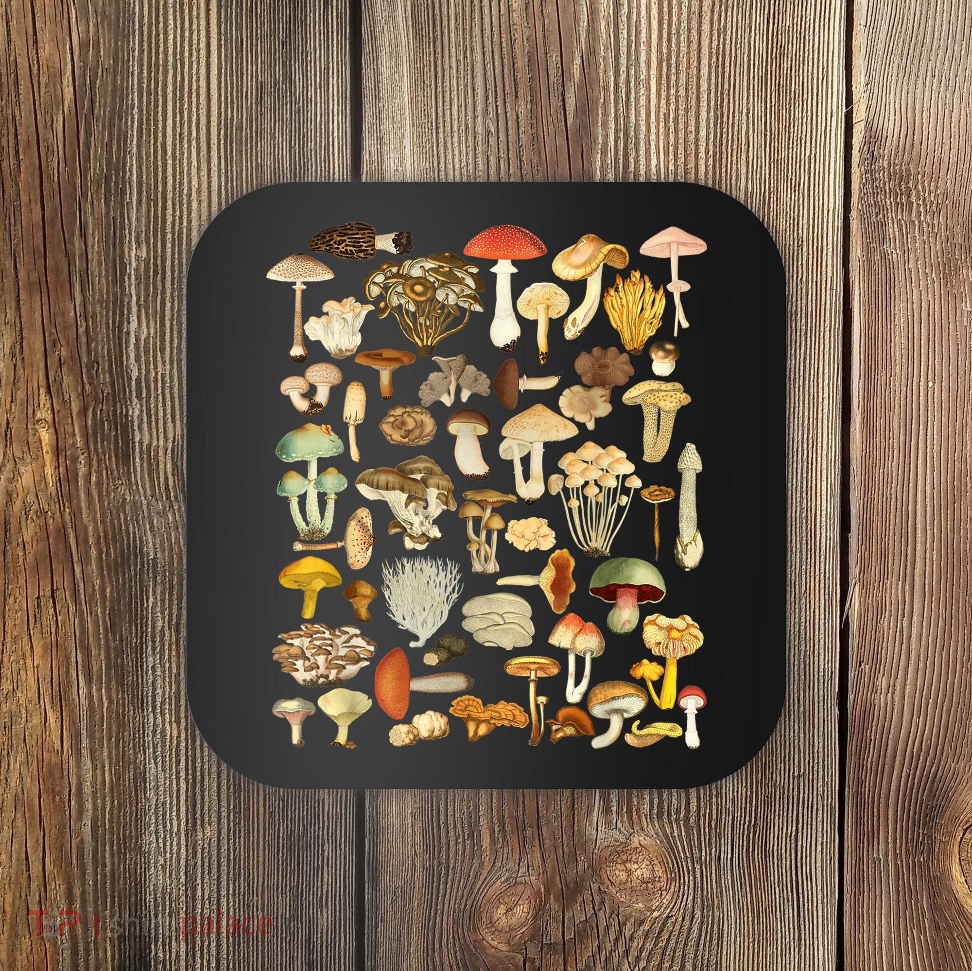 Mycology Fungi Foraging Mushroom Coaster