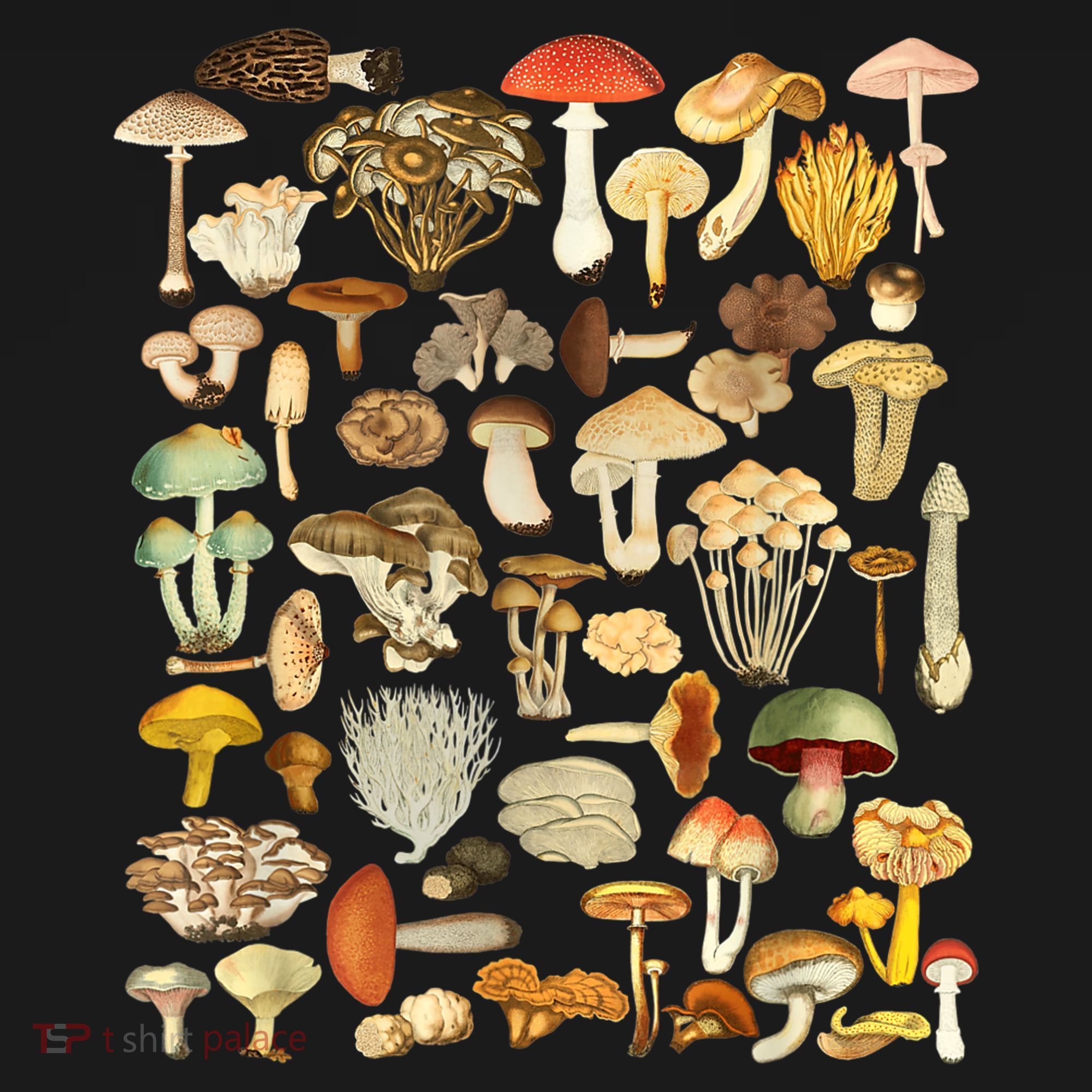 Mycology Fungi Foraging Mushroom Mousepad