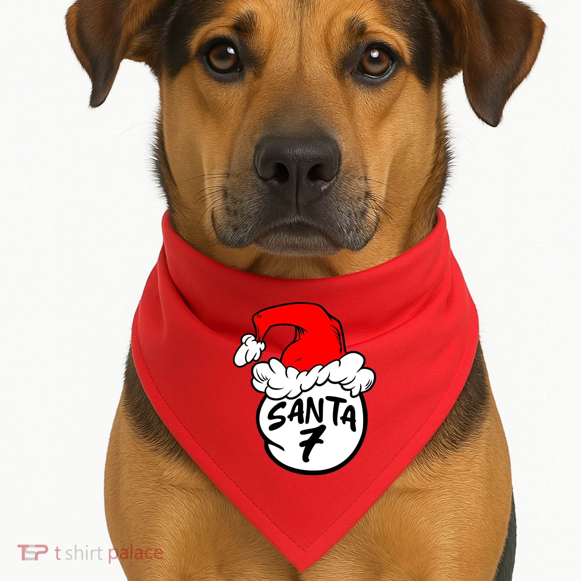 Matching Family Group Santa Hat 7 USA-Made Doggie Bandana