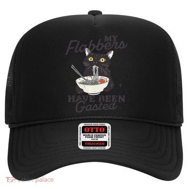 My Flabbers Have Been Gasted Distressed Retro Funny Cat Hat