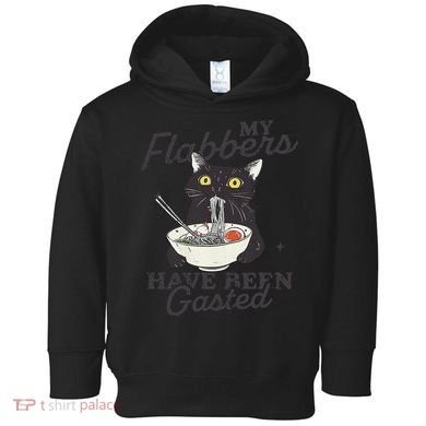 My Flabbers Have Been Gasted Distressed Retro Funny Cat Toddler Hoodie