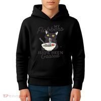 My Flabbers Have Been Gasted Distressed Retro Funny Cat Kids Hoodie thumb 4