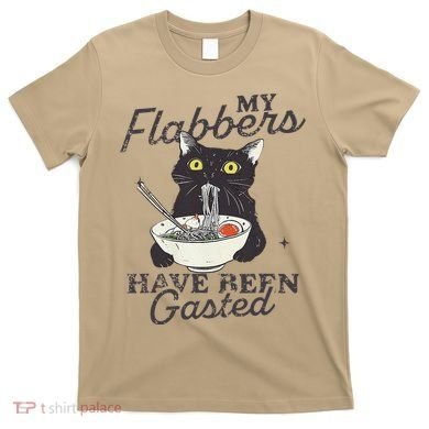 My Flabbers Have Been Gasted Distressed Retro Funny Cat T-Shirt