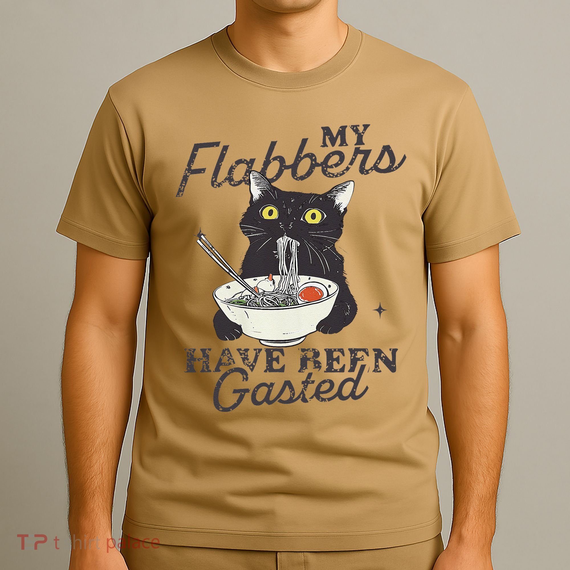 My Flabbers Have Been Gasted Distressed Retro Funny Cat T-Shirt