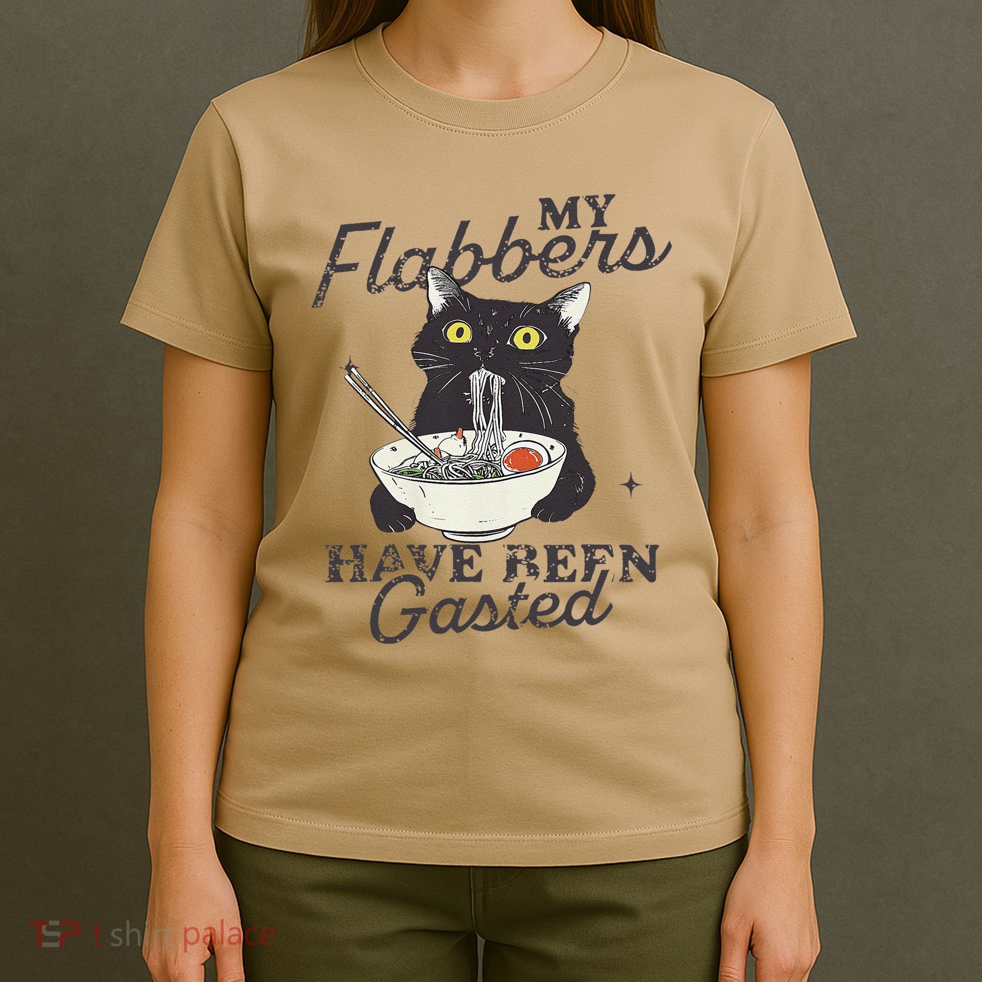 My Flabbers Have Been Gasted Distressed Retro Funny Cat T-Shirt