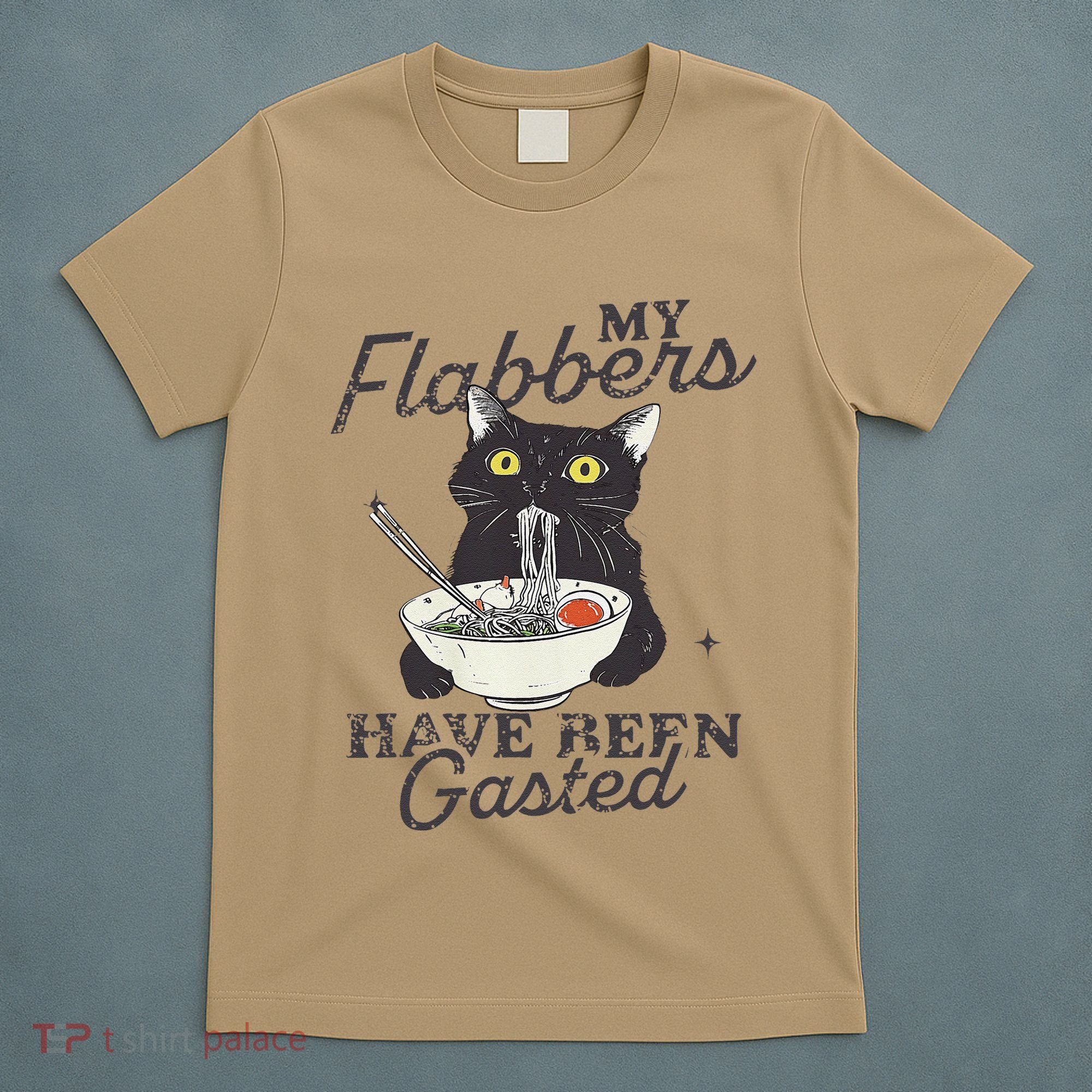 My Flabbers Have Been Gasted Distressed Retro Funny Cat T-Shirt