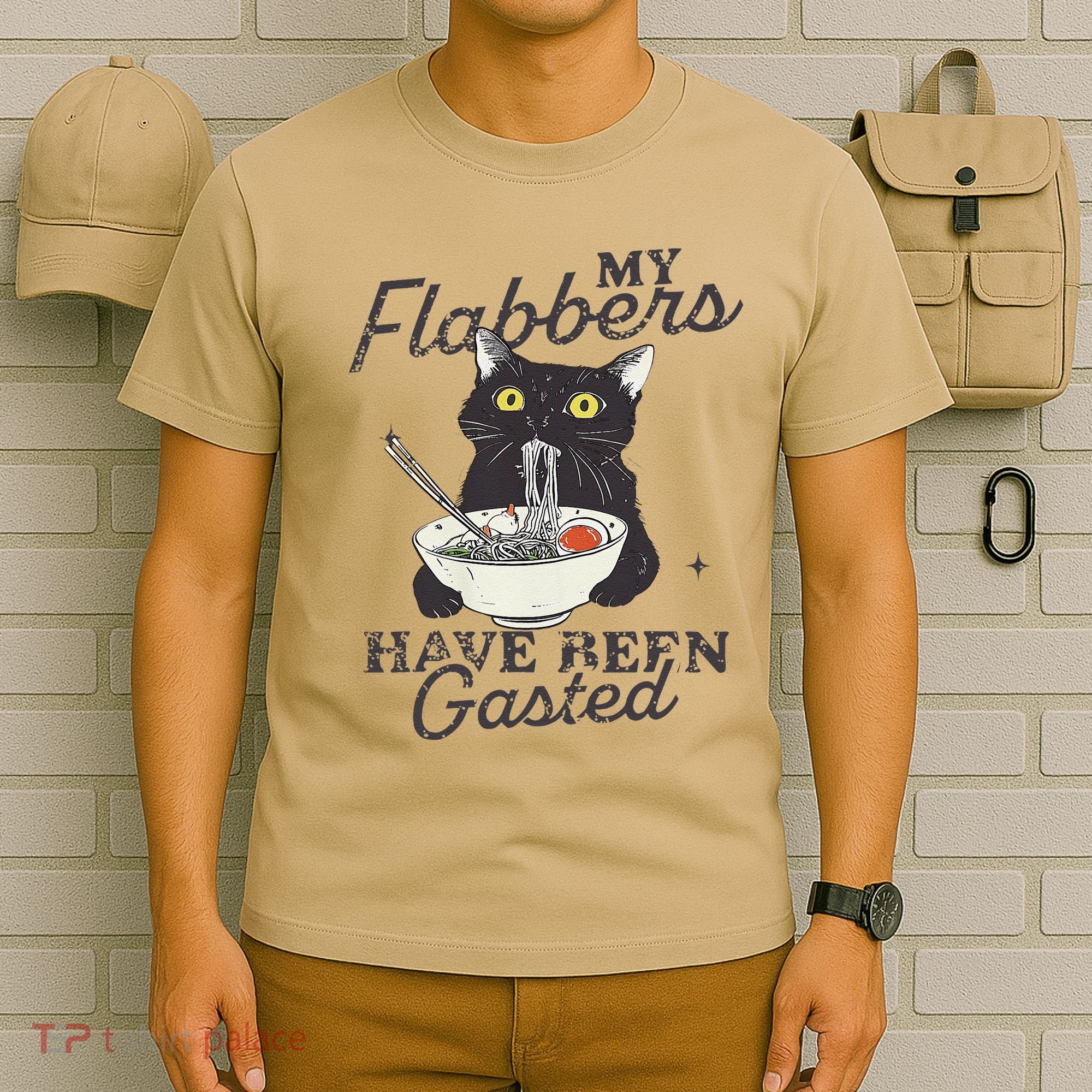 My Flabbers Have Been Gasted Distressed Retro Funny Cat T-Shirt