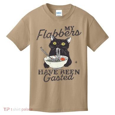 My Flabbers Have Been Gasted Distressed Retro Funny Cat Kids T-Shirt
