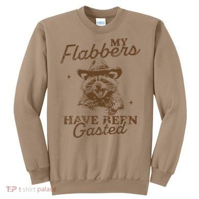My Flabbers Have Been Gasted Distressed Retro Raccoon Sweatshirt