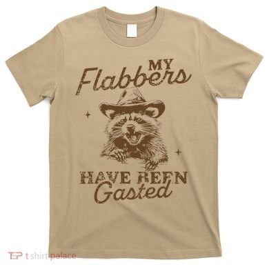 My Flabbers Have Been Gasted Distressed Retro Raccoon T-Shirt
