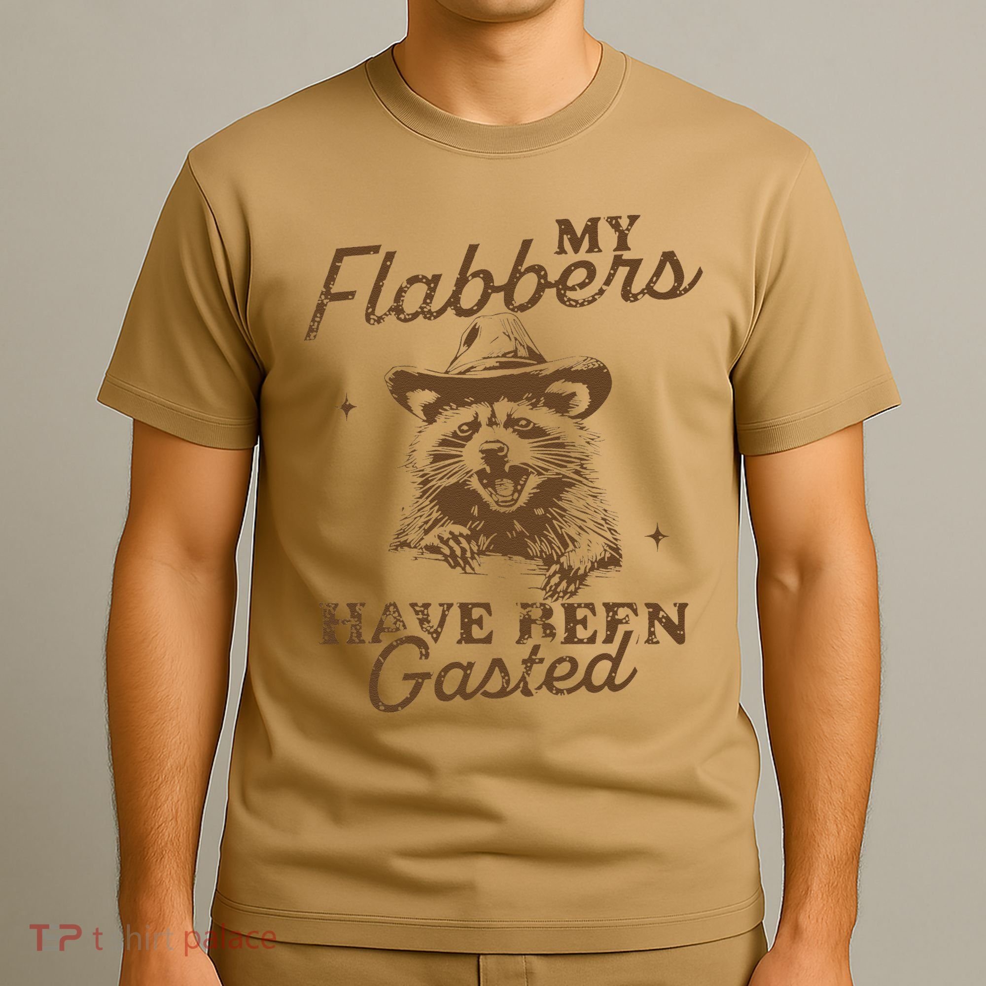 My Flabbers Have Been Gasted Distressed Retro Raccoon T-Shirt