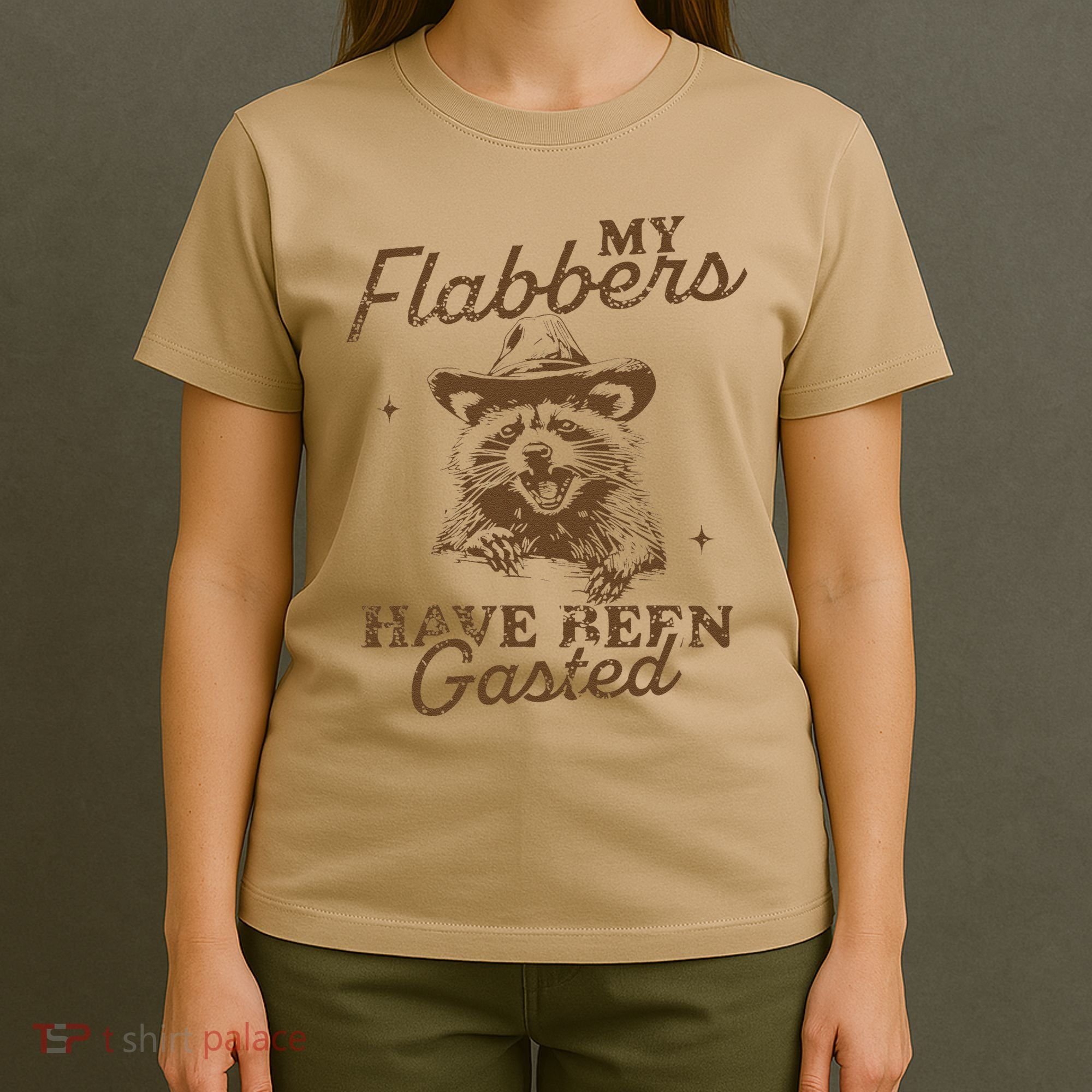 My Flabbers Have Been Gasted Distressed Retro Raccoon T-Shirt