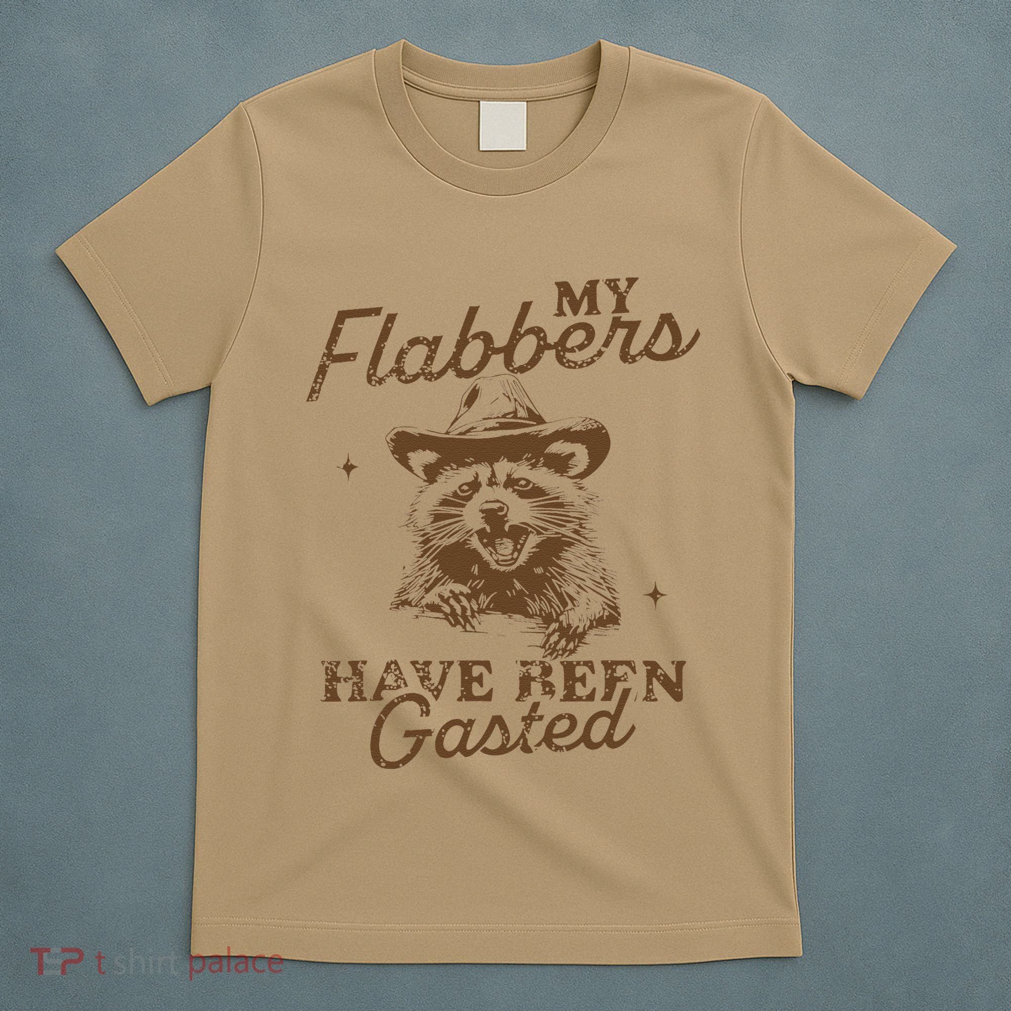 My Flabbers Have Been Gasted Distressed Retro Raccoon T-Shirt