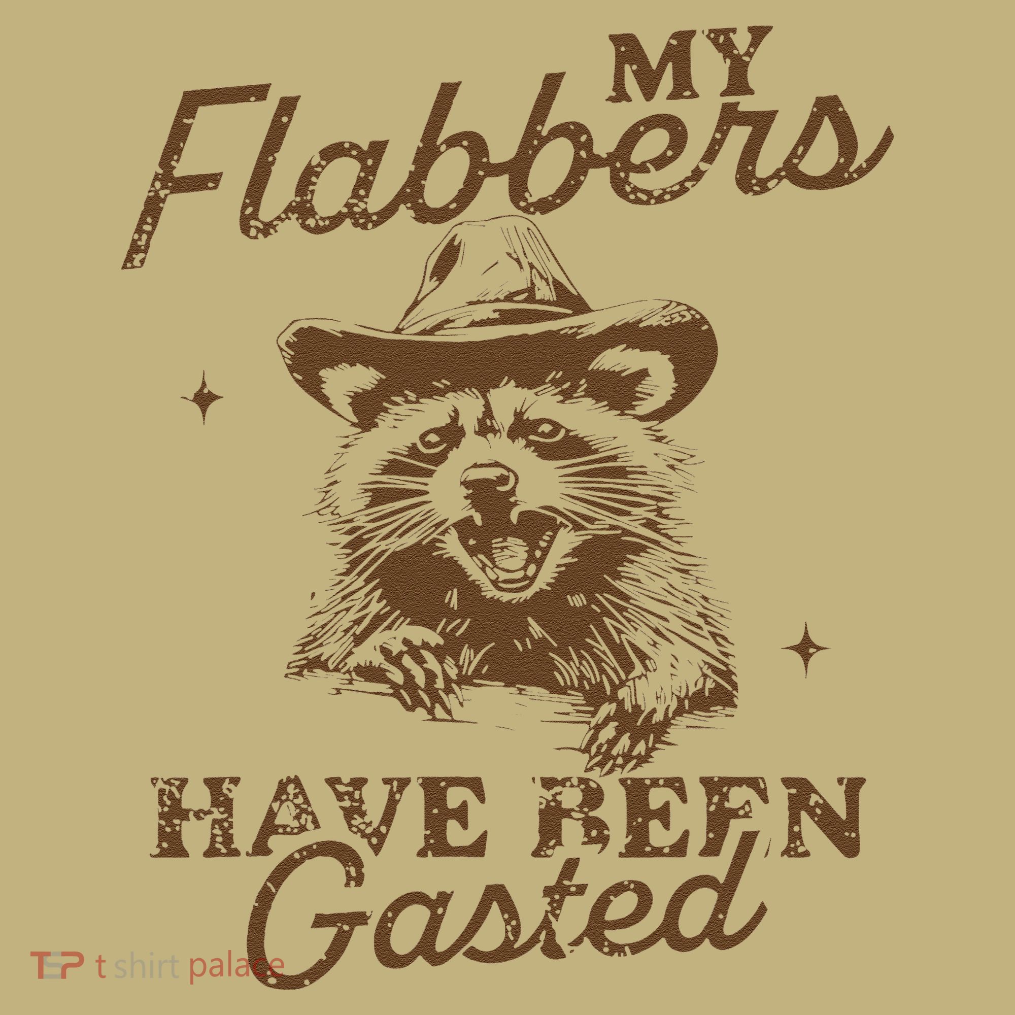 My Flabbers Have Been Gasted Distressed Retro Raccoon T-Shirt
