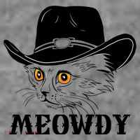 Meowdy Funny Howdy Cat Dad Joke Gift Toddler Hoodie thumb 2