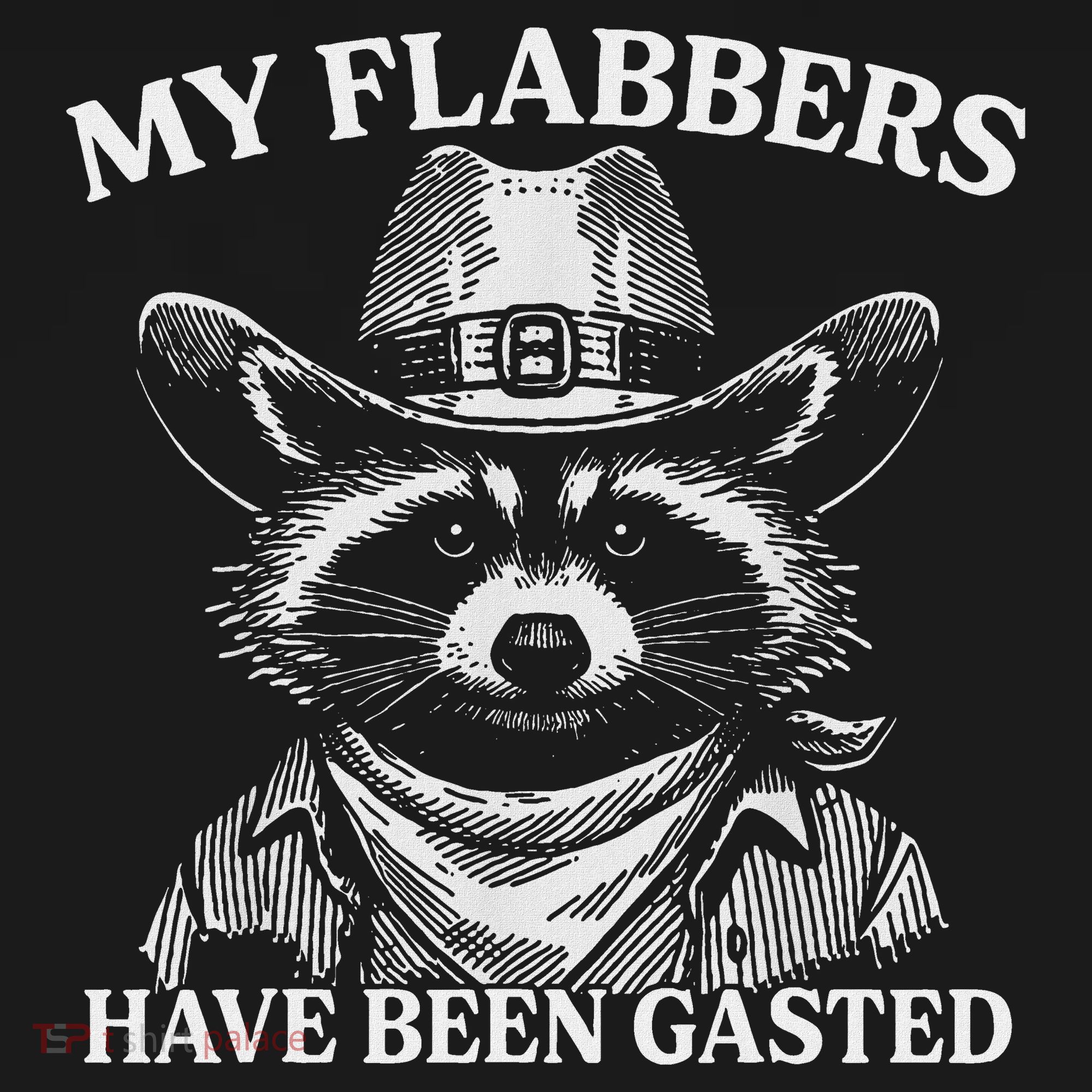 My Flabbers Have Been Gasted Funny Raccoon Cowboy Sweatshirt