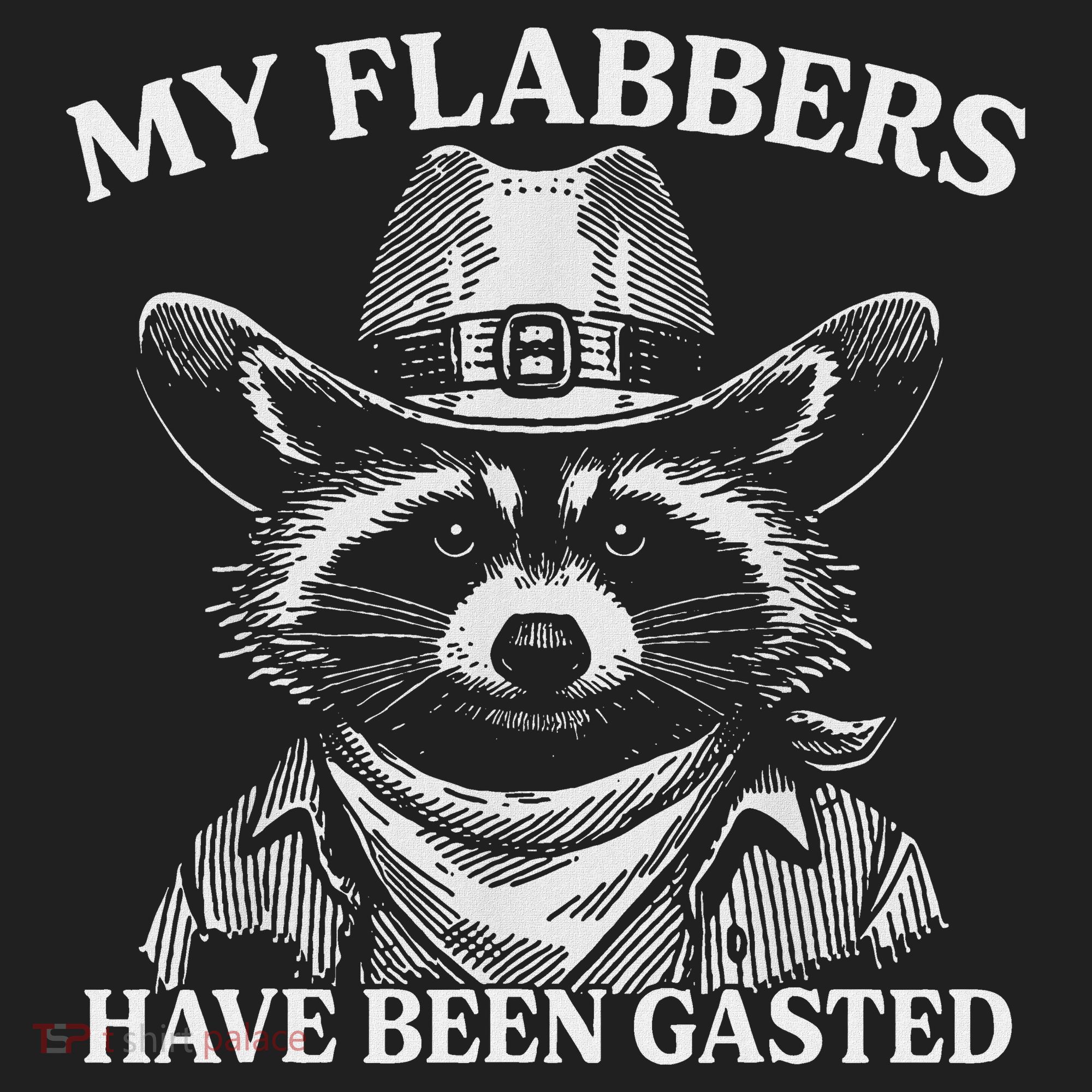 My Flabbers Have Been Gasted Funny Raccoon Cowboy Beanie