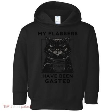 My Flabbers Have Been Gasted Distressed Retro Funny Cat Toddler Hoodie