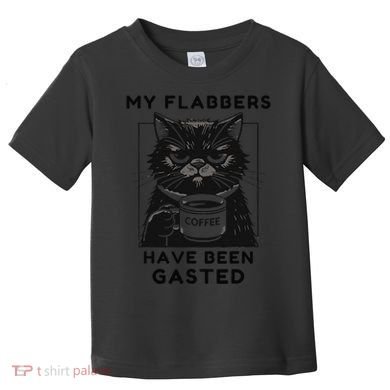 My Flabbers Have Been Gasted Distressed Retro Funny Cat Toddler T-Shirt