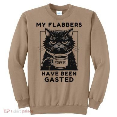 My Flabbers Have Been Gasted Distressed Retro Funny Cat Sweatshirt