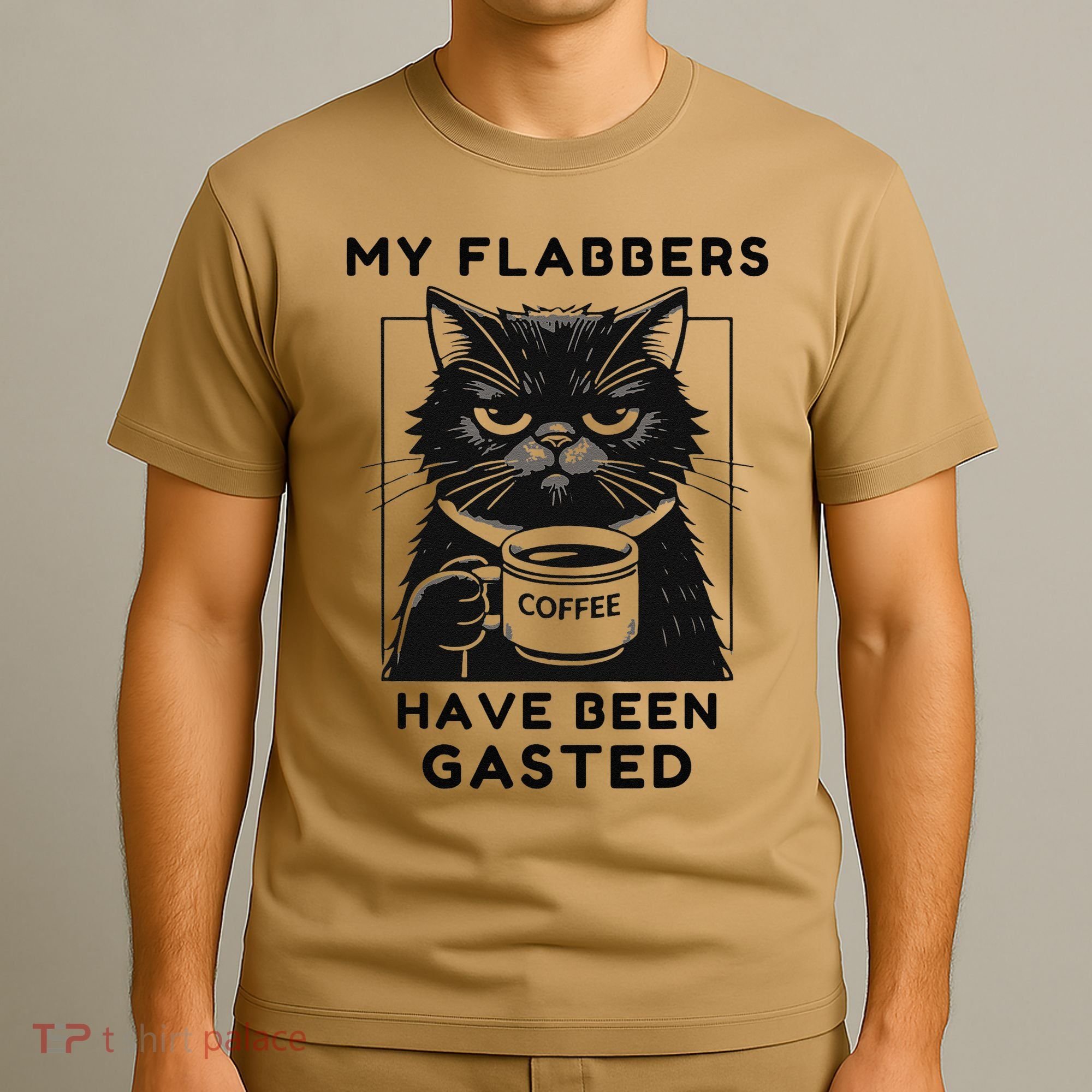 My Flabbers Have Been Gasted Distressed Retro Funny Cat T-Shirt