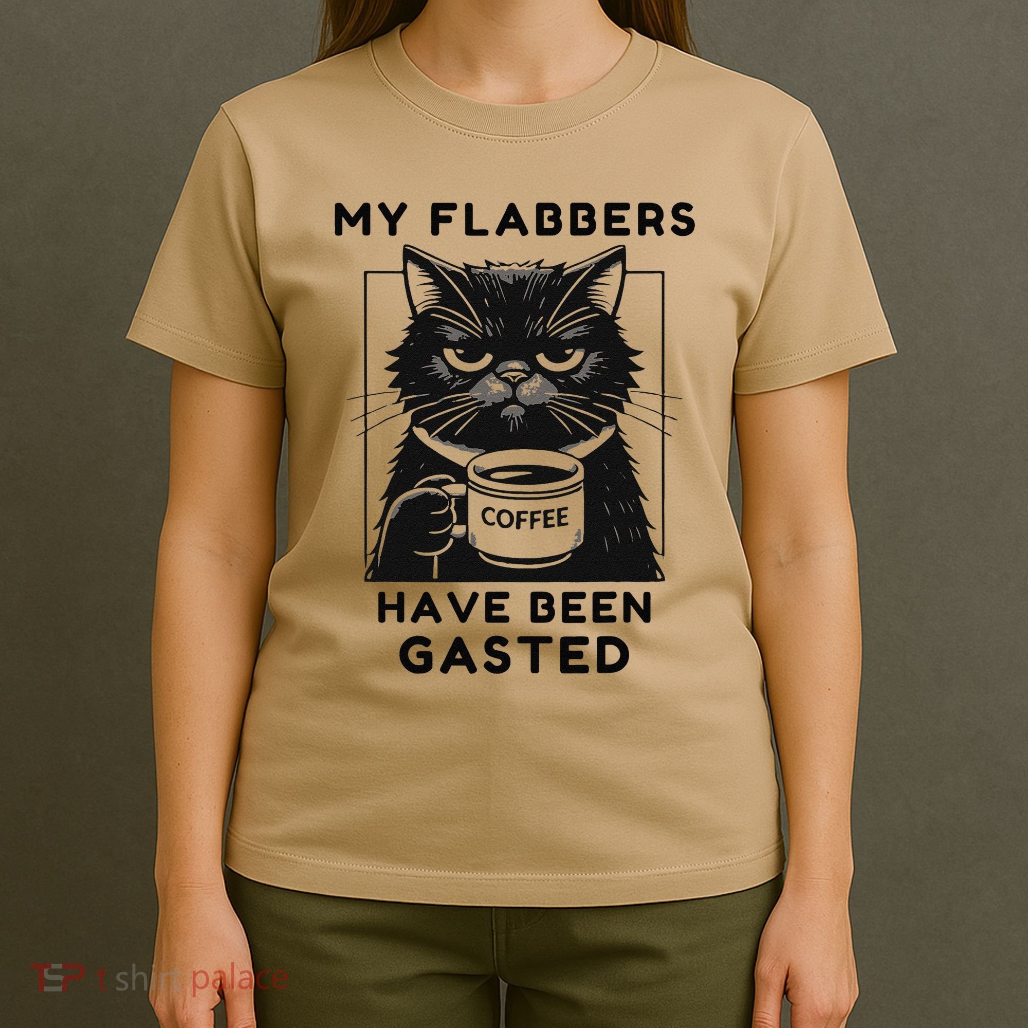 My Flabbers Have Been Gasted Distressed Retro Funny Cat T-Shirt