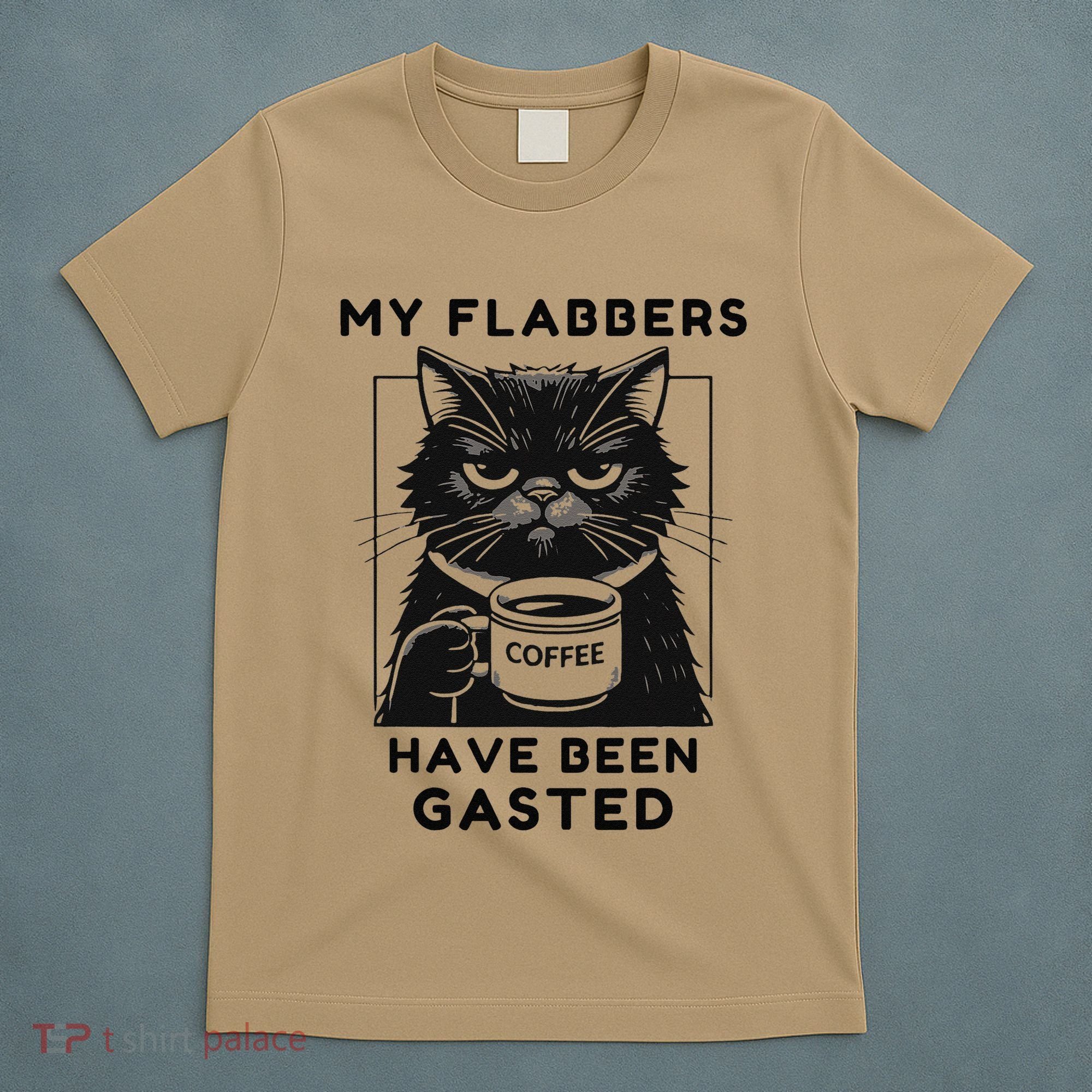My Flabbers Have Been Gasted Distressed Retro Funny Cat T-Shirt