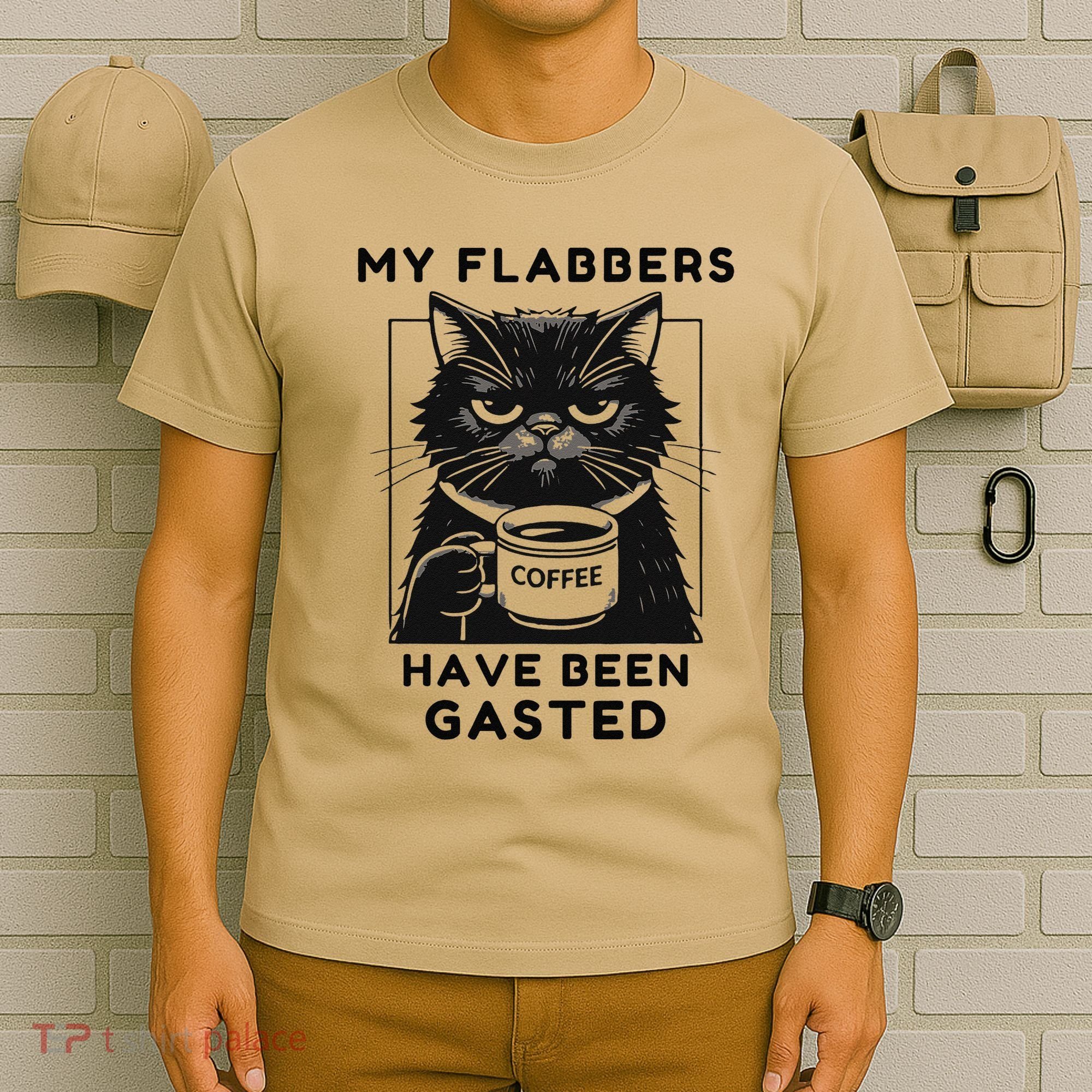 My Flabbers Have Been Gasted Distressed Retro Funny Cat T-Shirt