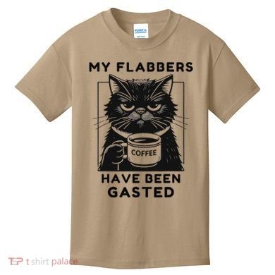 My Flabbers Have Been Gasted Distressed Retro Funny Cat Kids T-Shirt
