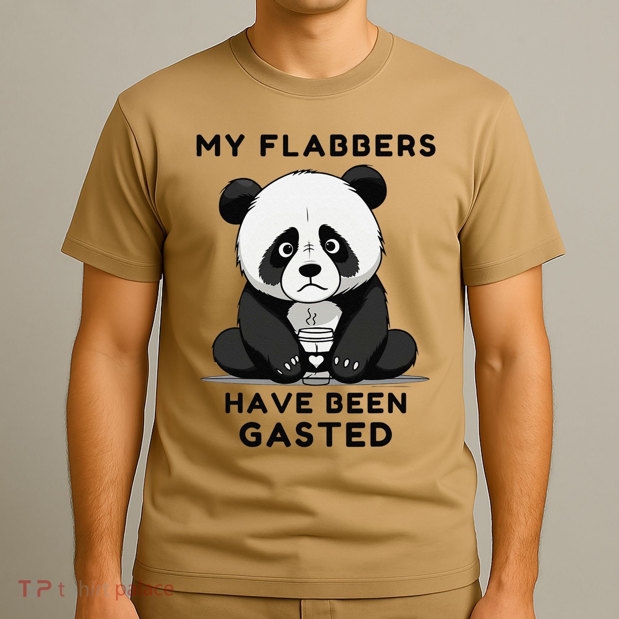 My Flabbers Have Been Gasted Distressed Retro Cute Panda T-Shirt