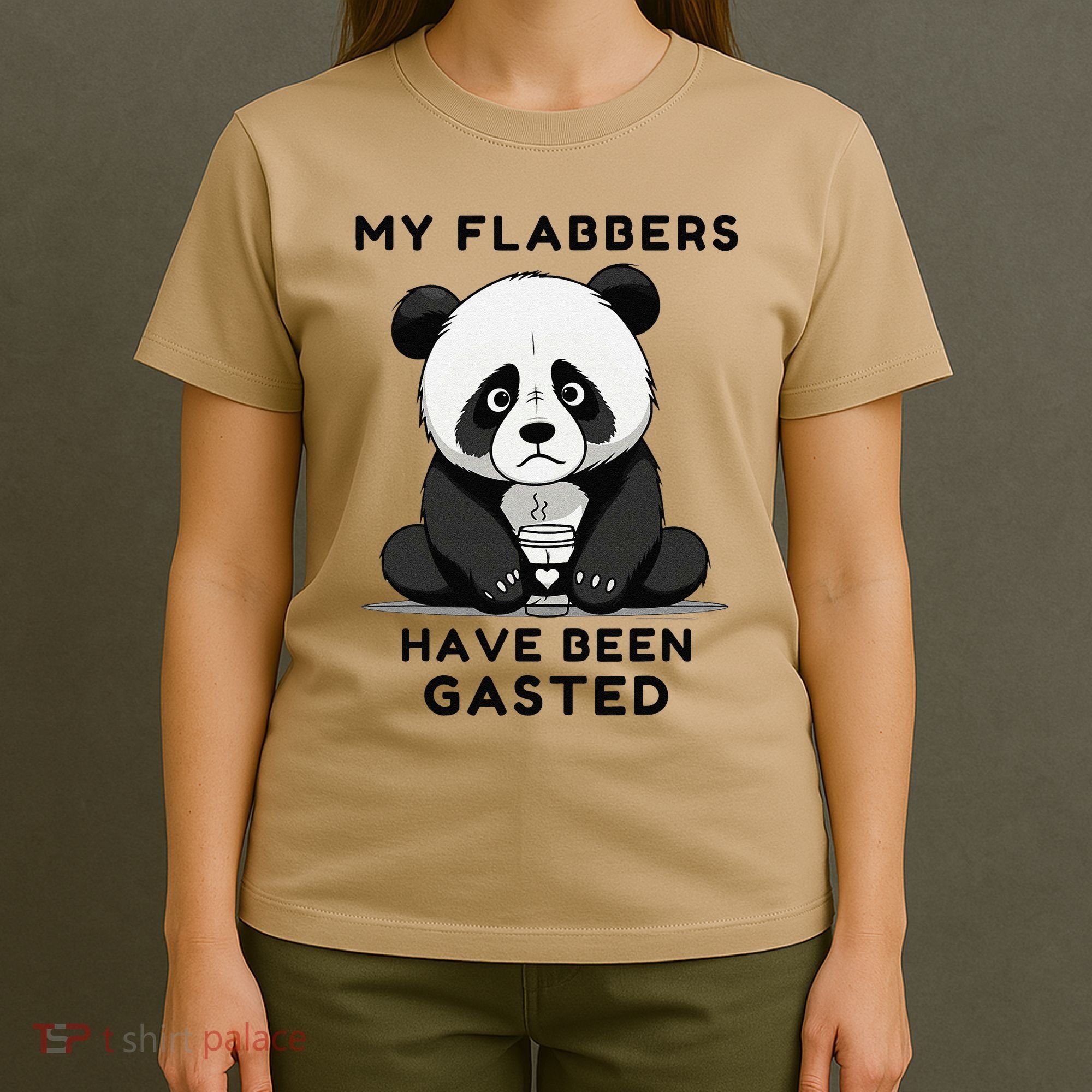 My Flabbers Have Been Gasted Distressed Retro Cute Panda T-Shirt