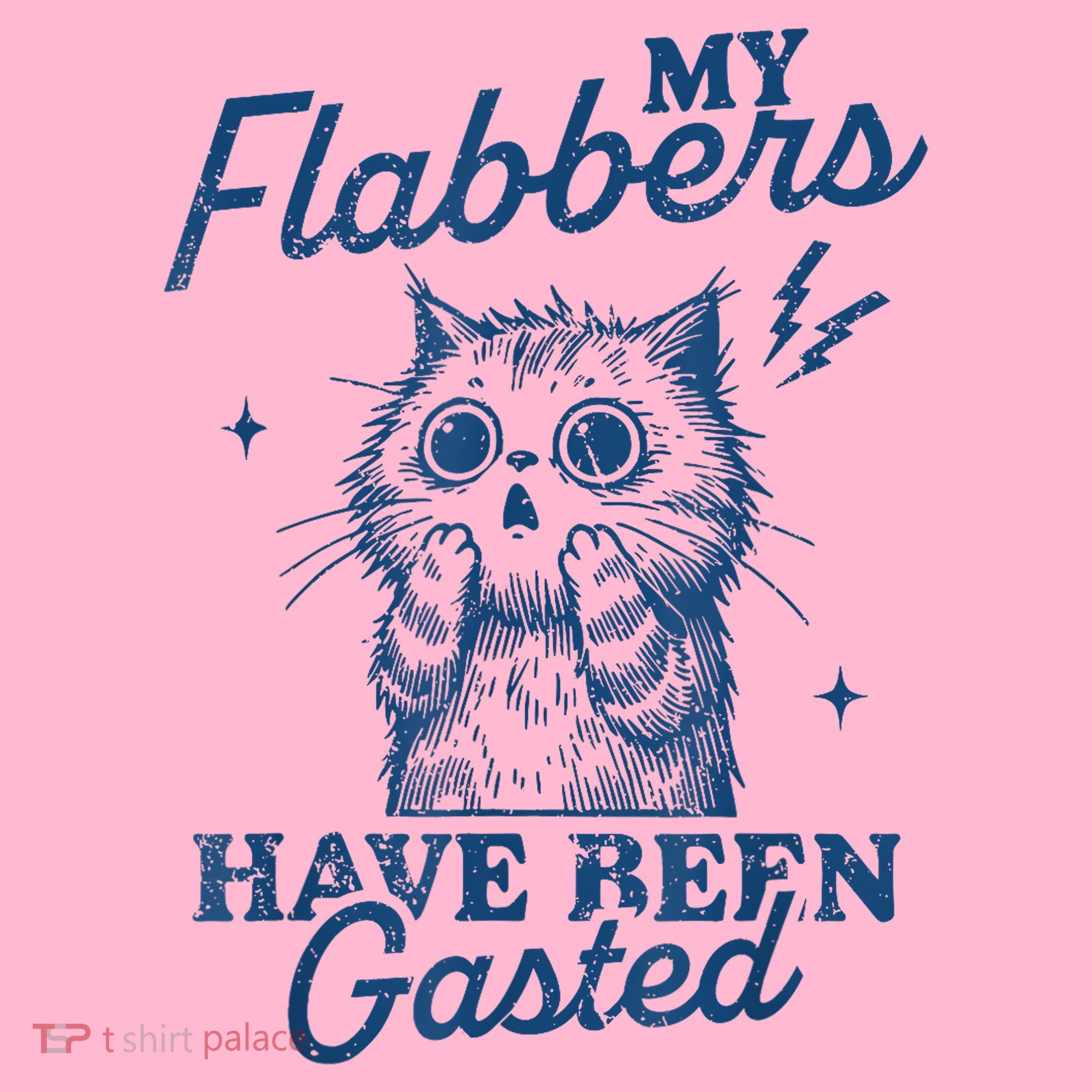 My Flabbers Have Been Gasted Distressed Retro Funny Cat Coaster
